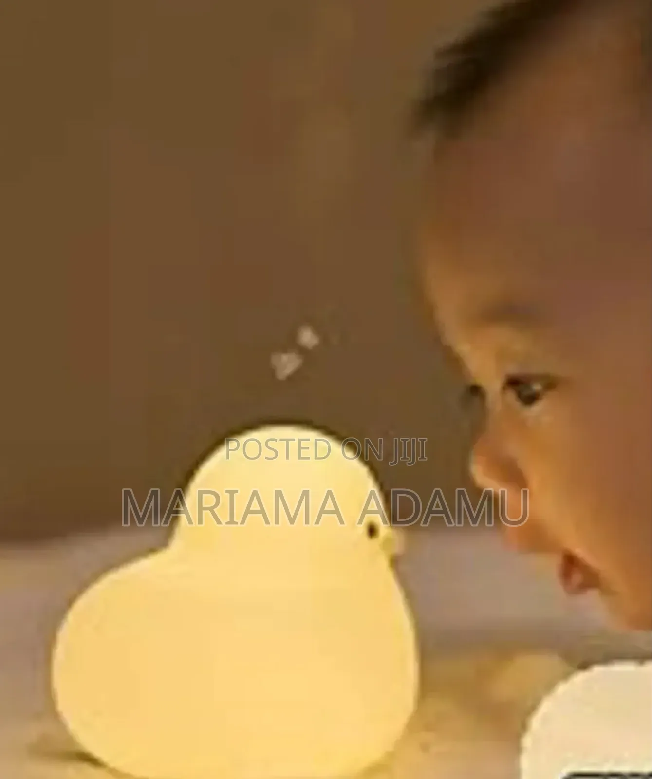 Dull Duck Sleeping Lamp