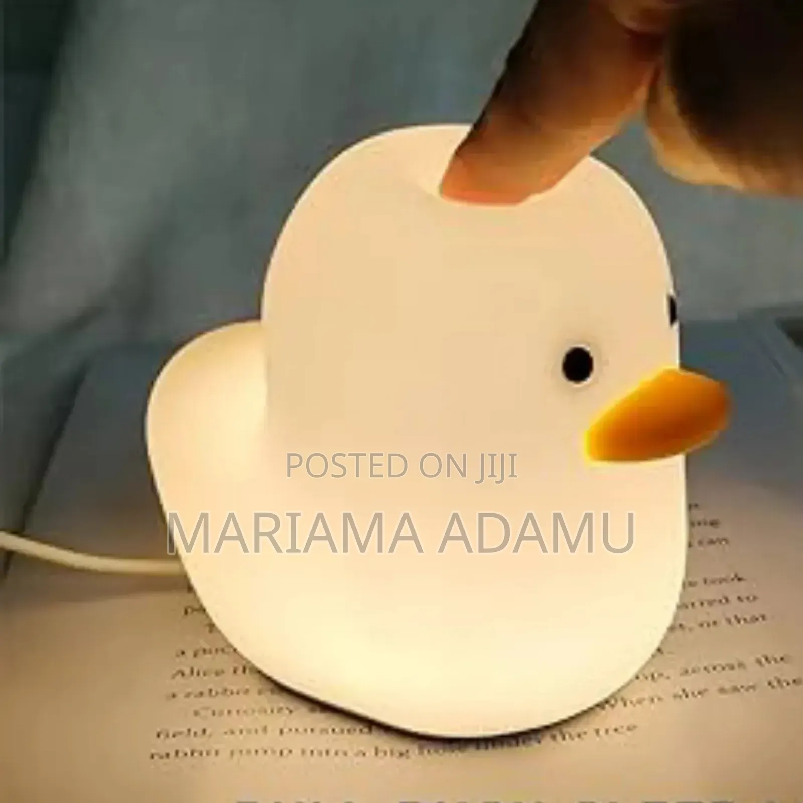 Dull Duck Sleeping Lamp