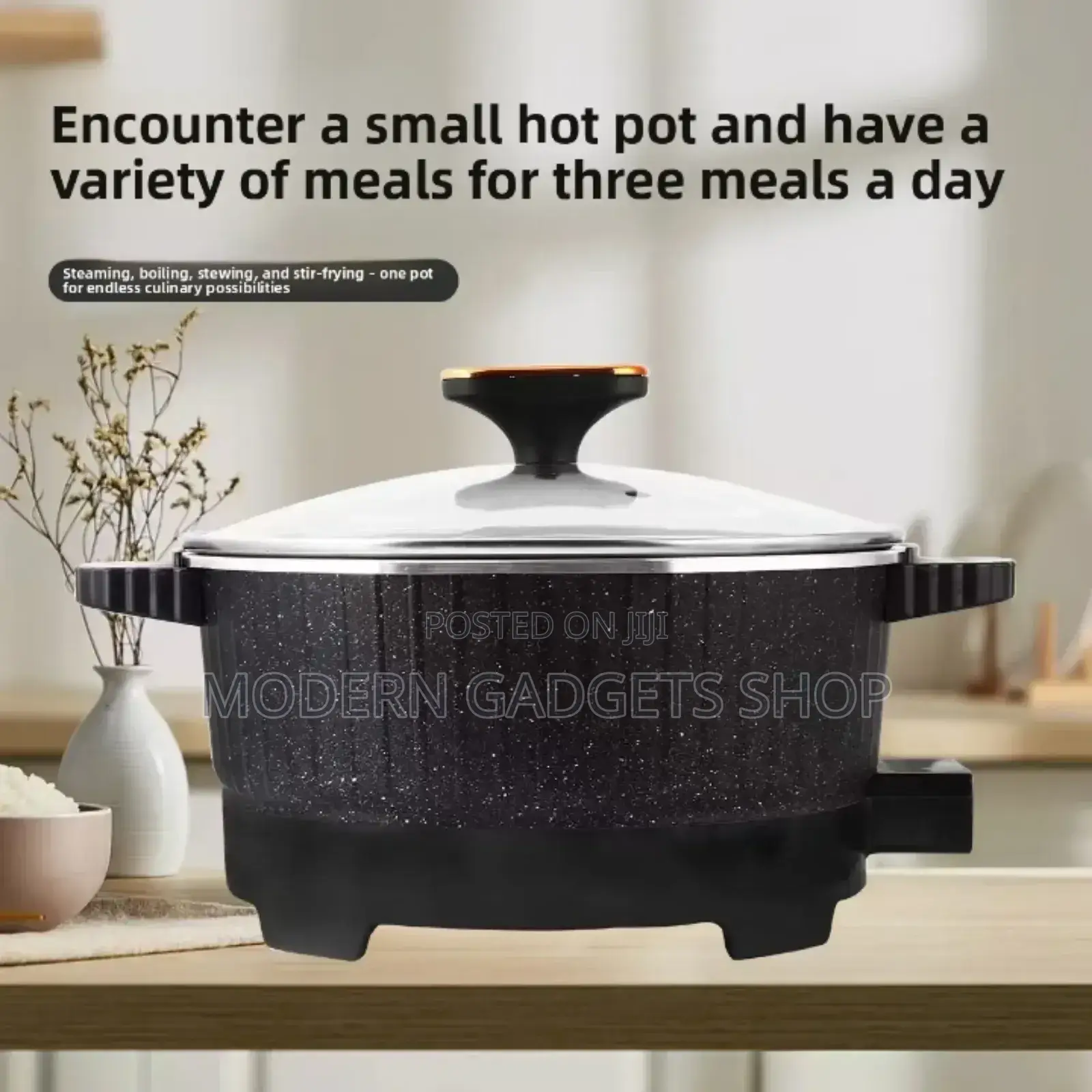 Multifunctional Cooking Electric Pot