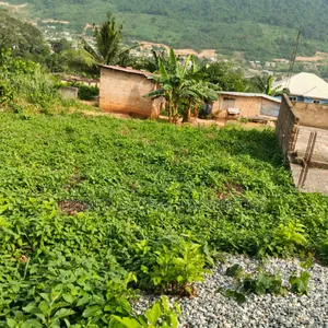 Land With 3 Bedrm at Pokuase. Katarpor. Egb