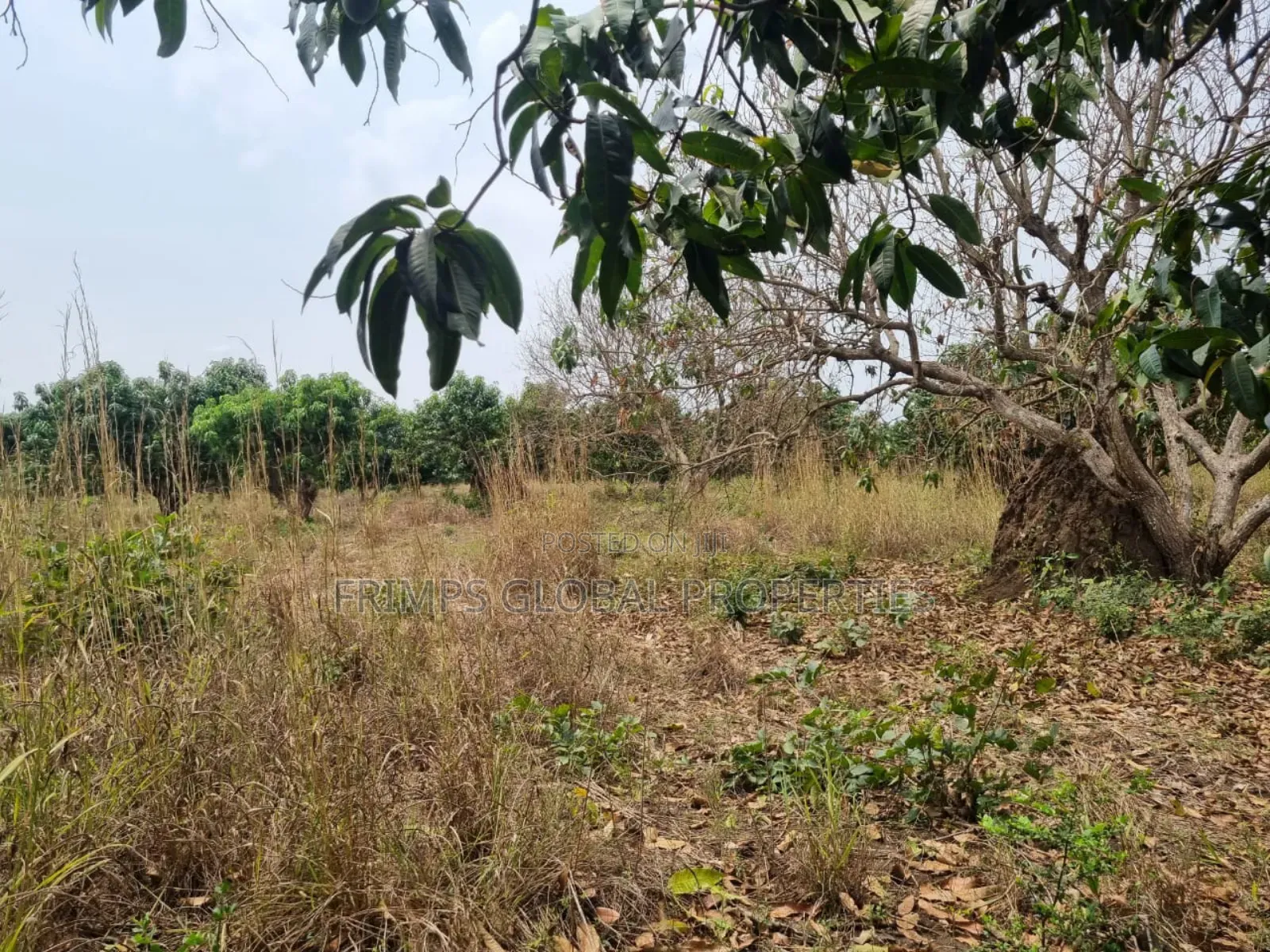5 Plots of Land for Sale in Shai Hills.Dodowa Egb