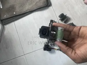 Hyundai and Kia Resistance