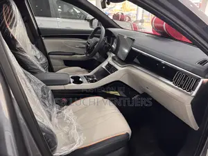 New BYD Song Plus 2025 Gray