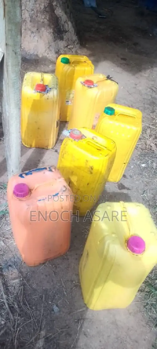 Fresh Palm Oil Zomi