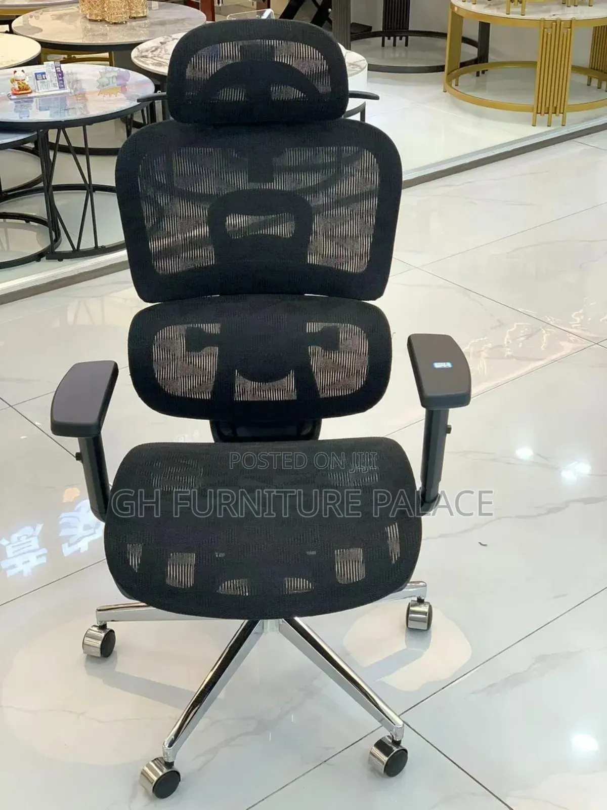 Mesh Spine Support Chair