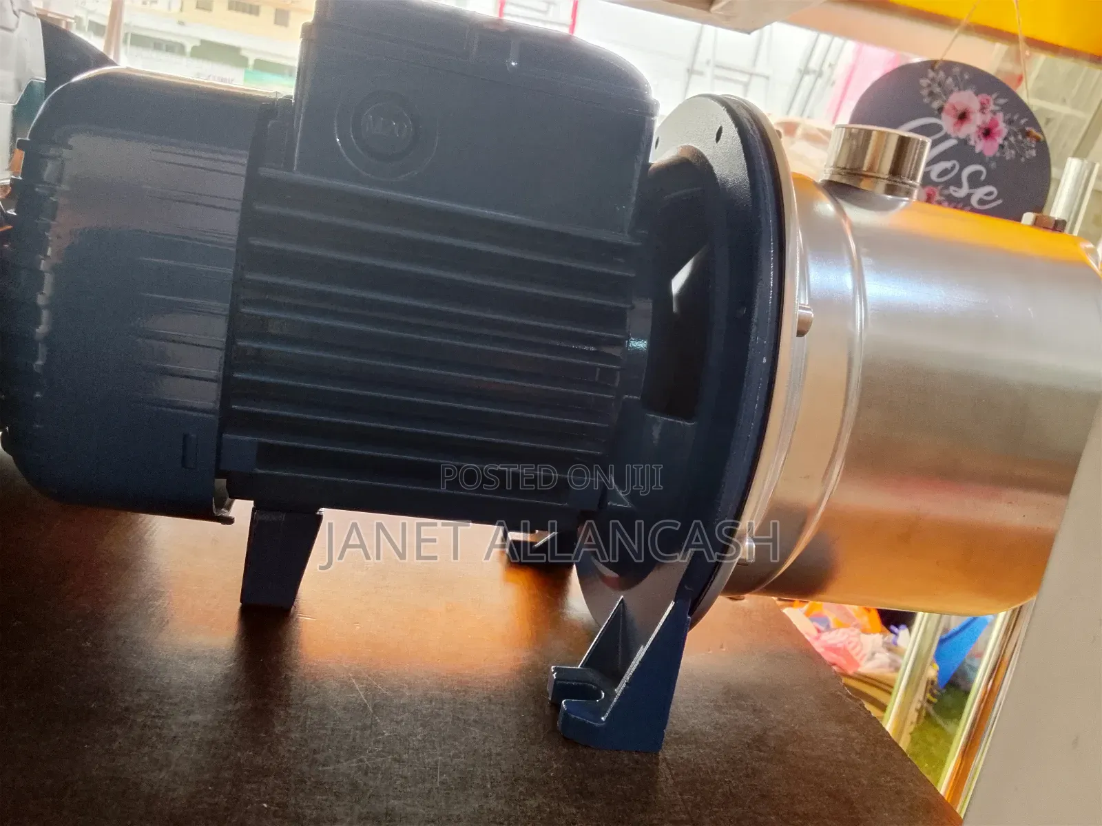 Pedrollo Water Pump