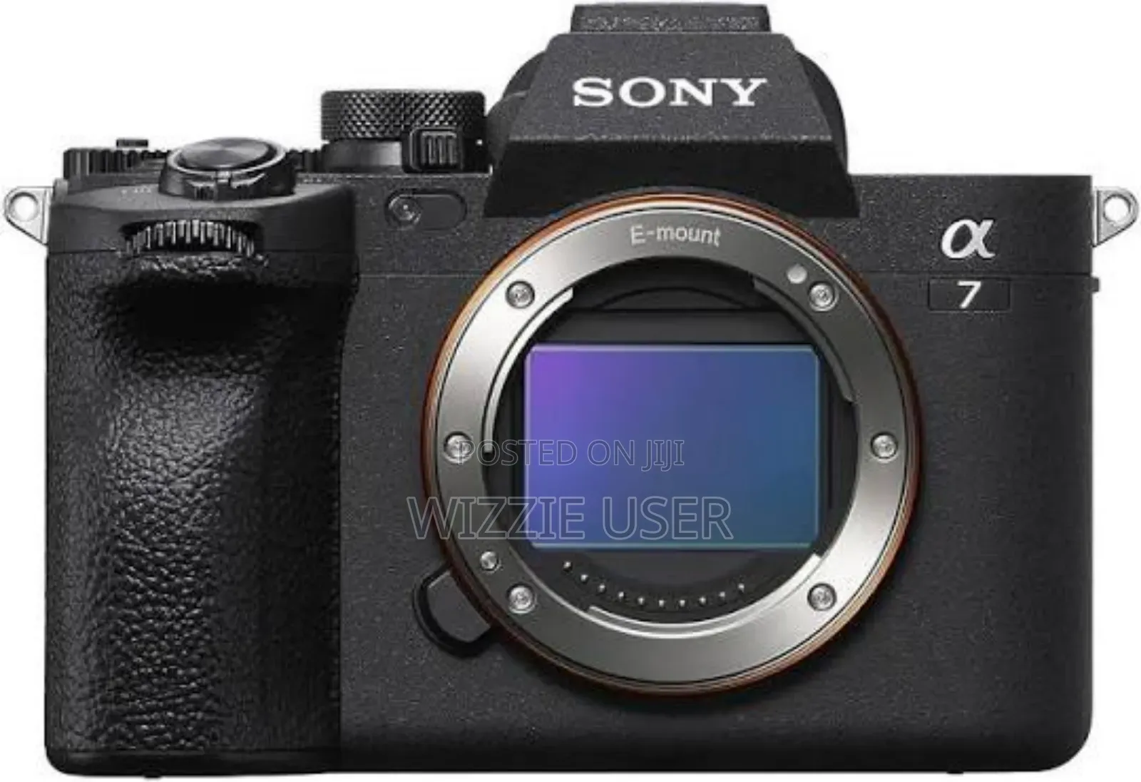 Professional Photographer