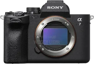 Professional Photographer