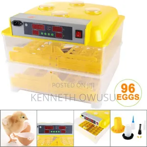 Promotion 98% Hatching Rate Eggs Incubator