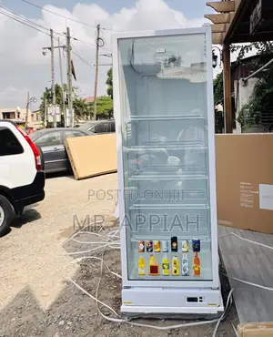 Uniquely Design Zara-600dfg Single Door Display Fridge 