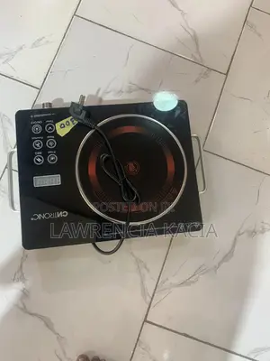 Potable Hot Plate