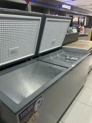 Nasco Freezer Nas1200fl-Dd