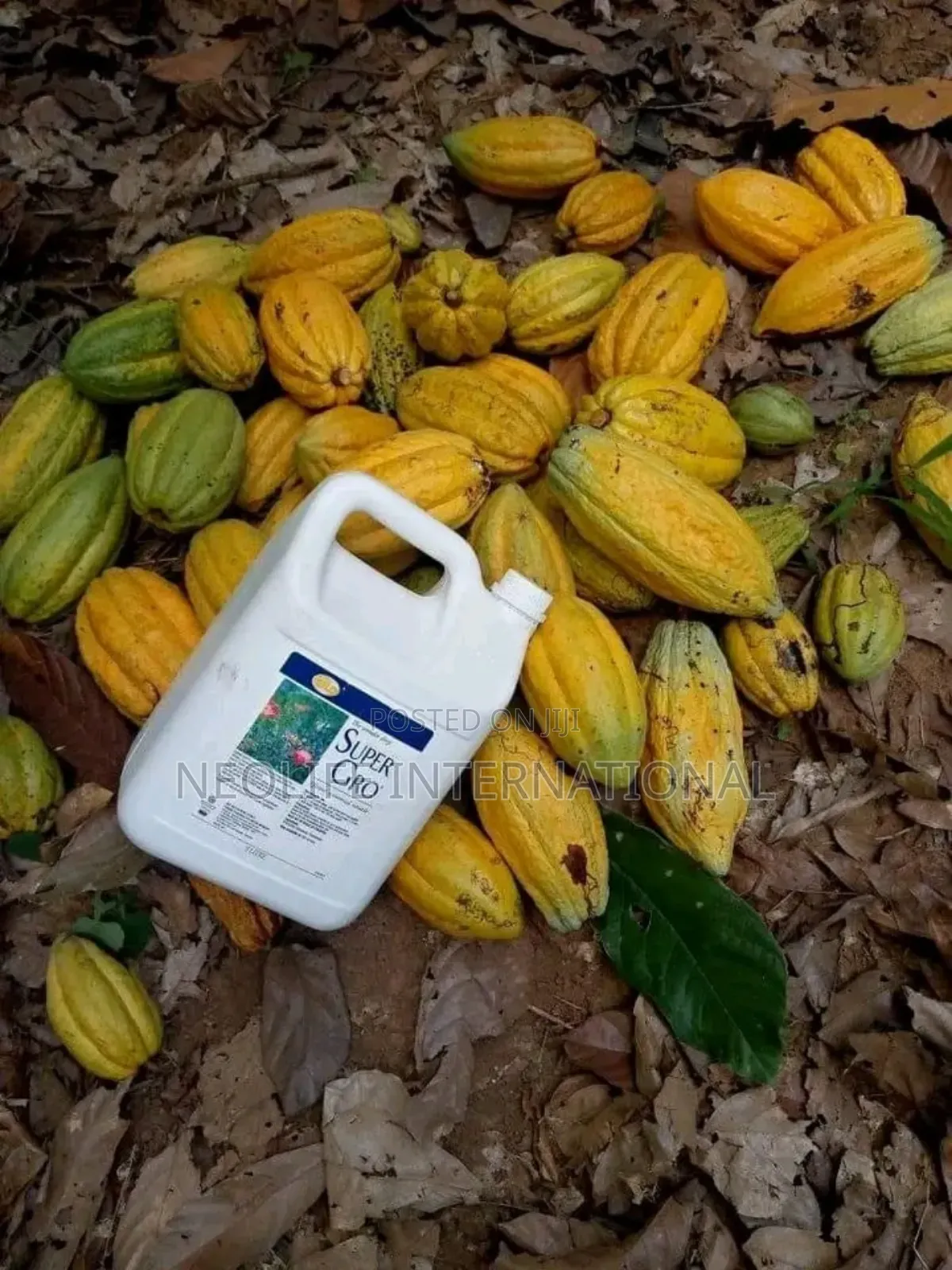 Super Gro Organic Fertilizer