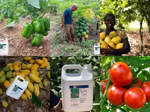 Super Gro Organic Fertilizer