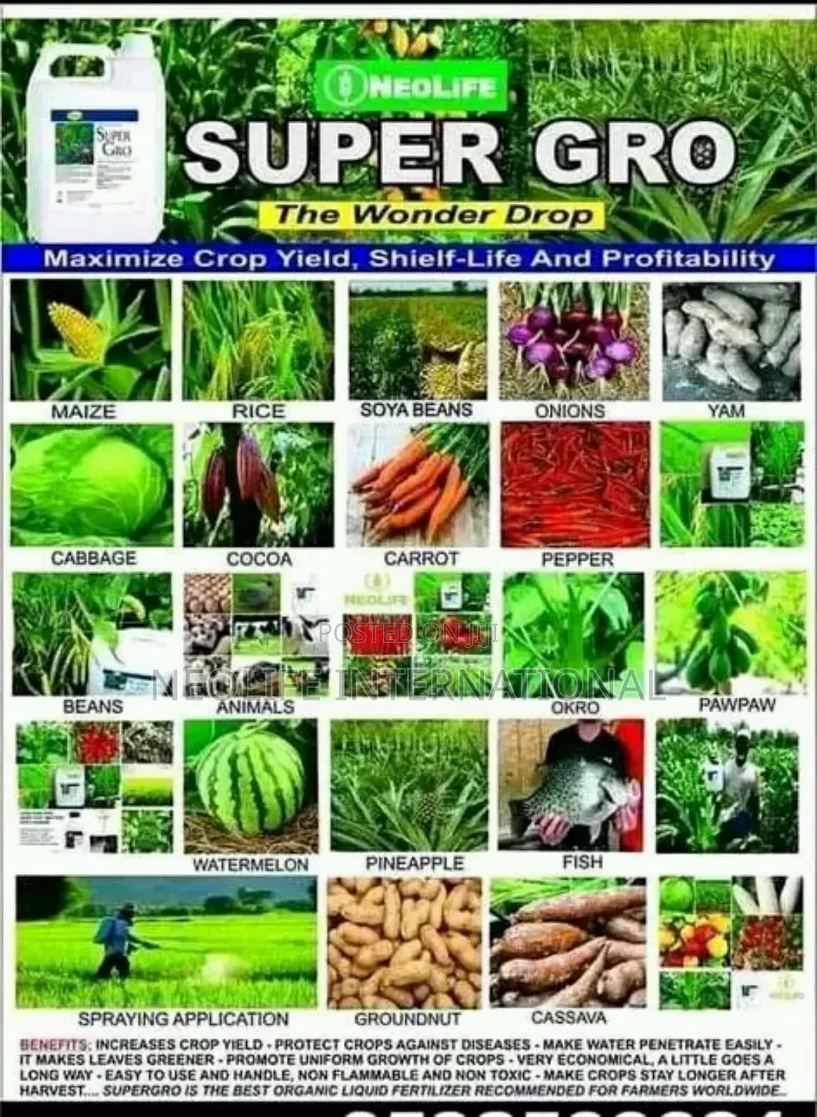 Super Gro Organic Fertilizer