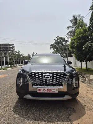 Hyundai Palisade 2019 Blue