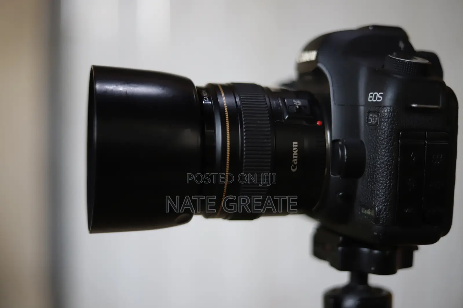Canon 5d Mark 2 With 85mm 1.8