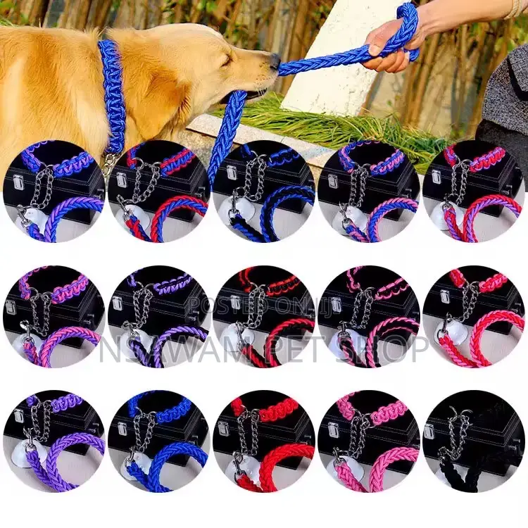 Woven Leash With P-Choke Chain