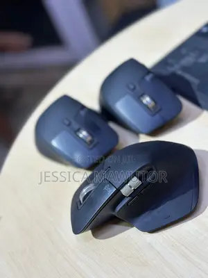 Computer Mouse