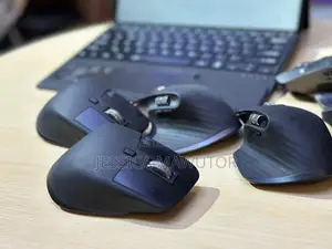 Computer Mouse