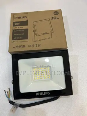 Philips Floodlights - 30w