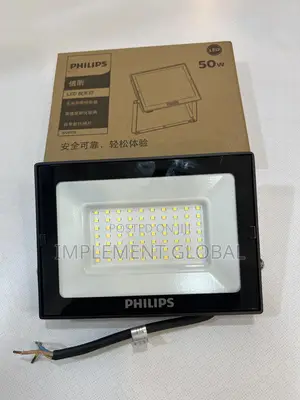 Philips Floodlight - 50w