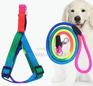 Rainbow Round Leash Harness Set