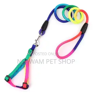 Rainbow Round Leash Harness Set