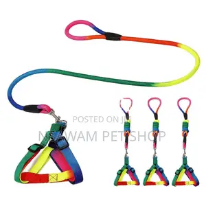 Rainbow Round Leash Harness Set
