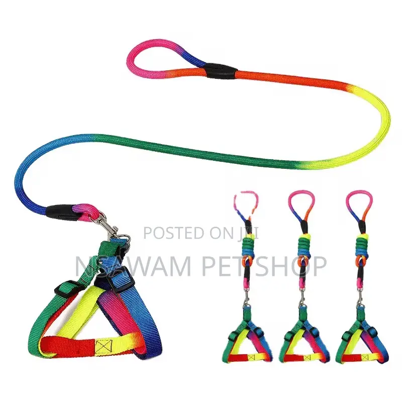 Rainbow Round Leash Harness Set