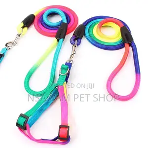 Rainbow Round Leash Harness Set