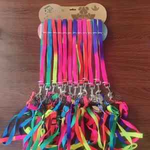 Rainbow Leash Harness Medium