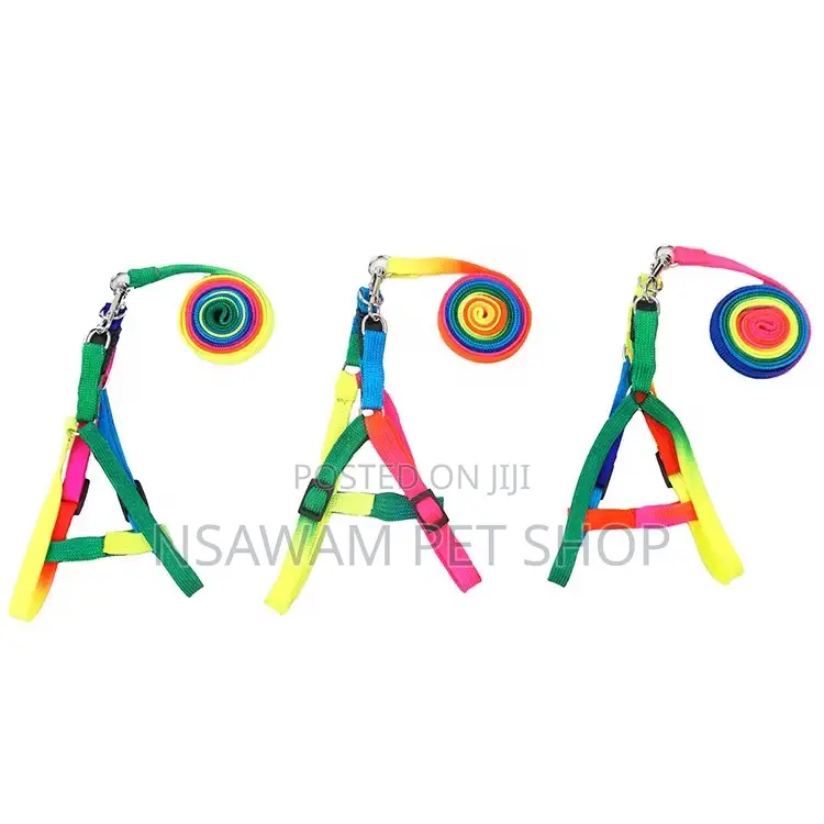 Rainbow Leash Harness Medium