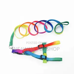 Rainbow Leash Harness Medium