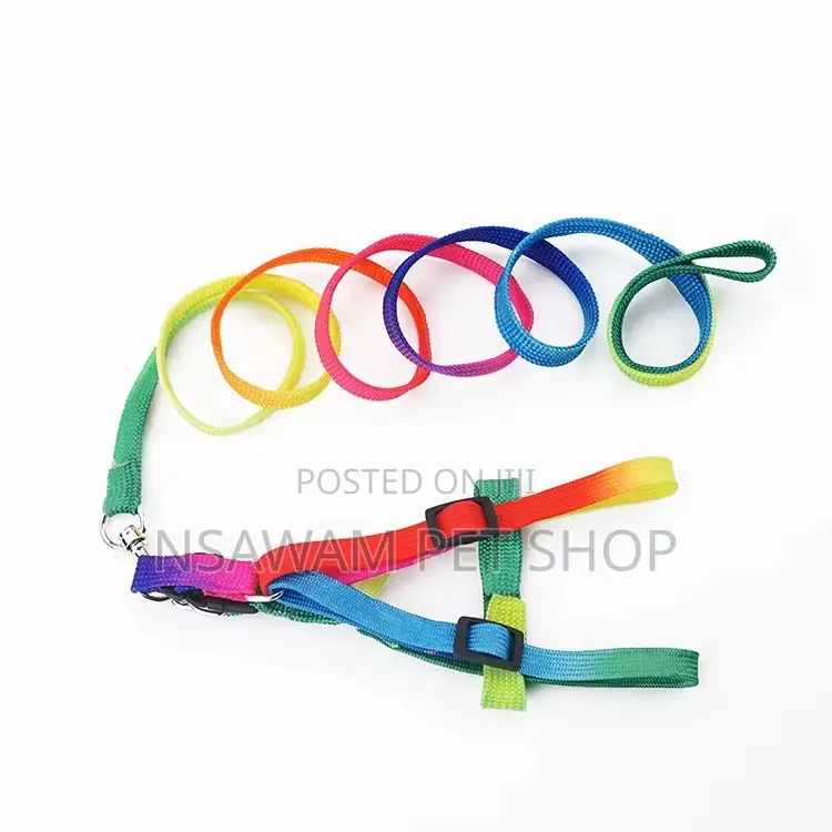 Rainbow Leash Harness Medium