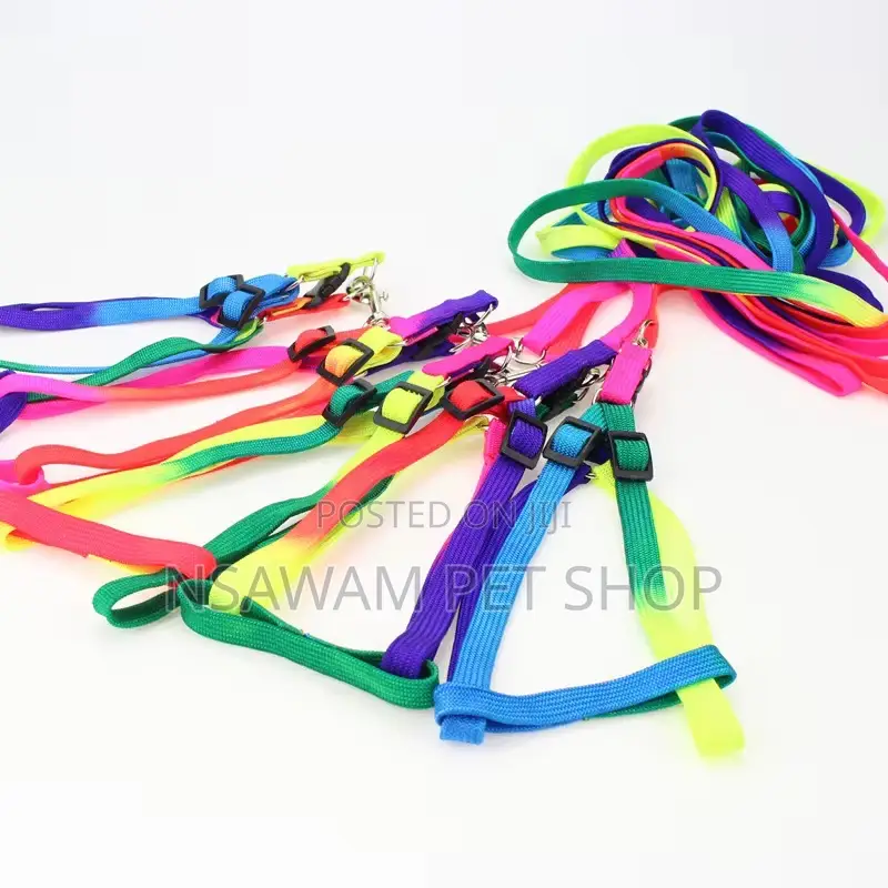 Rainbow Leash Harness Medium