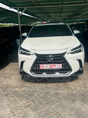 Lexus NX 250 Premium AWD 2024 White