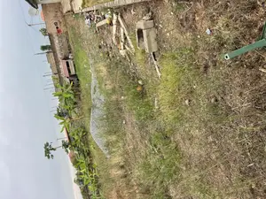 Title Half Plot 4 Sale at Amasaman Obeyeyie Going for 160,000 Cedis.