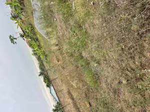 Title Half Plot 4 Sale at Amasaman Obeyeyie Going for 160,000 Cedis.