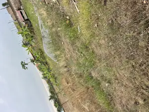 Title Half Plot 4 Sale at Amasaman Obeyeyie Going for 160,000 Cedis.