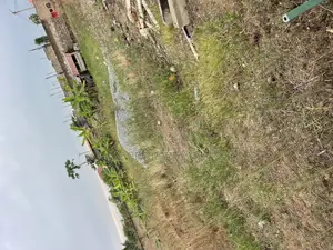 Title Half Plot 4 Sale at Amasaman Obeyeyie Going for 160,000 Cedis.