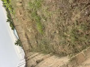 Title Half Plot 4 Sale at Amasaman Obeyeyie Going for 160,000 Cedis.