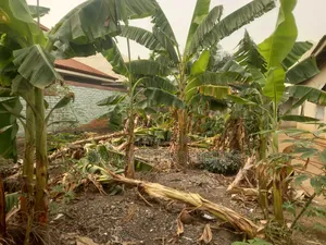 6bdrm House in Duase New Site, Kumasi Metropolitan for sale