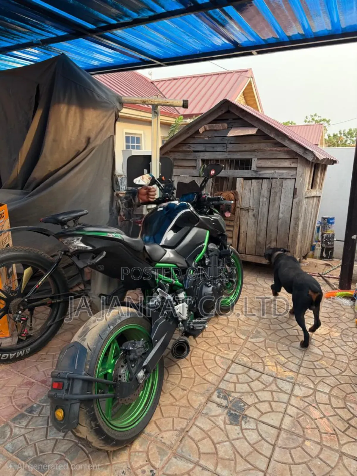 Kawasaki Z900RS 2025 Green