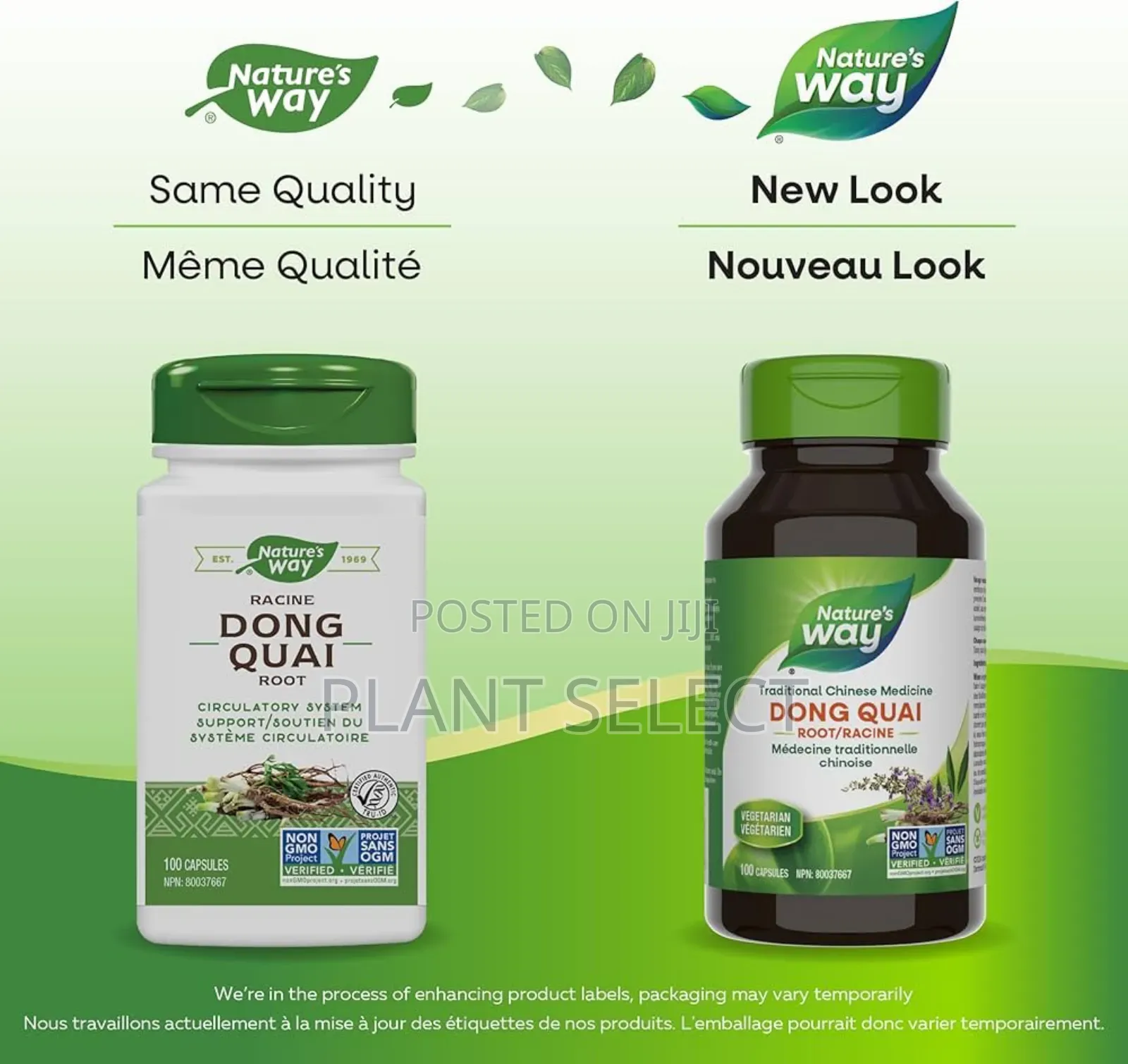 Dong Quai (100) Capsules