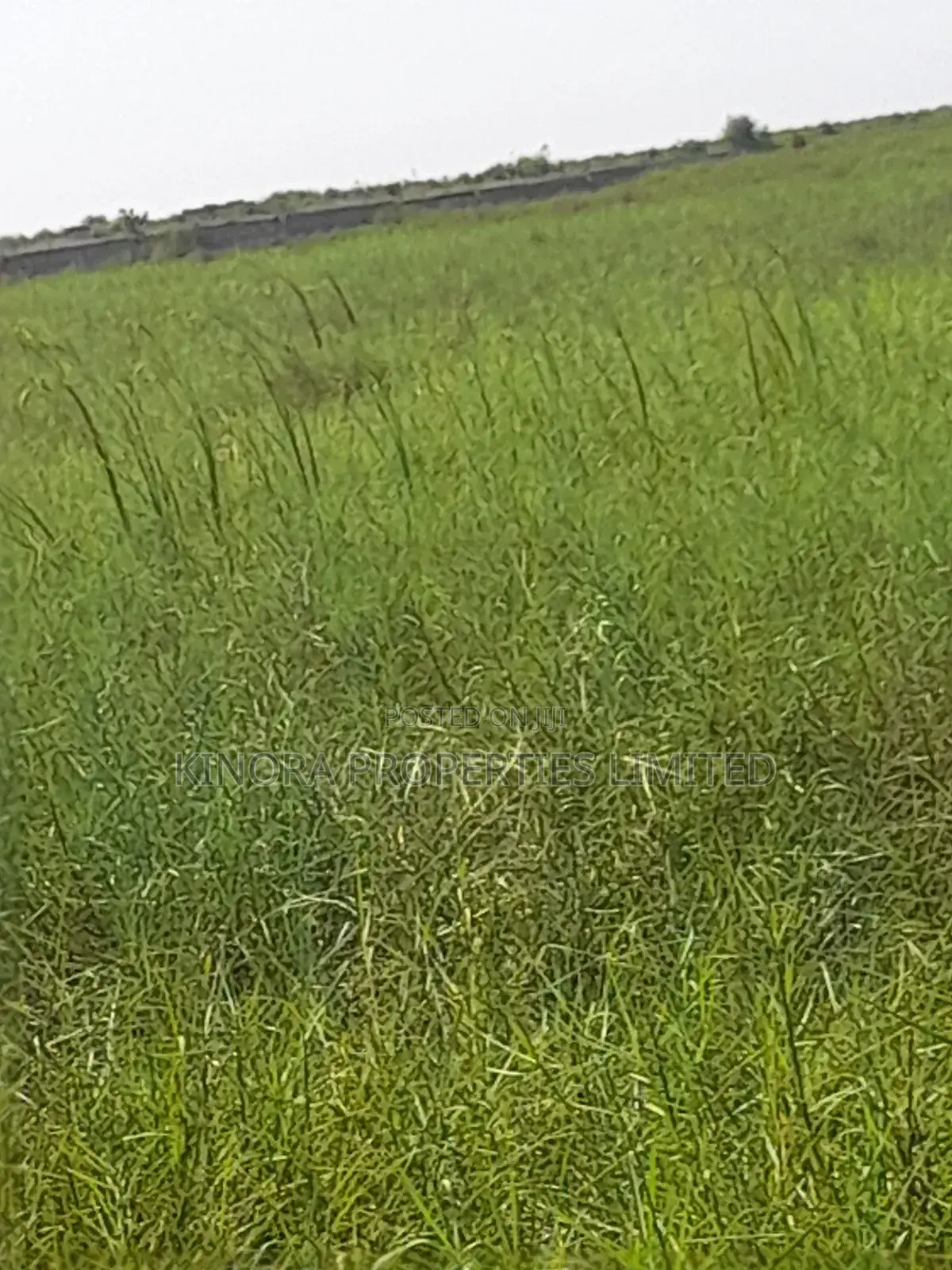 400 Acres of Titled Plot for Sale at Tetegu