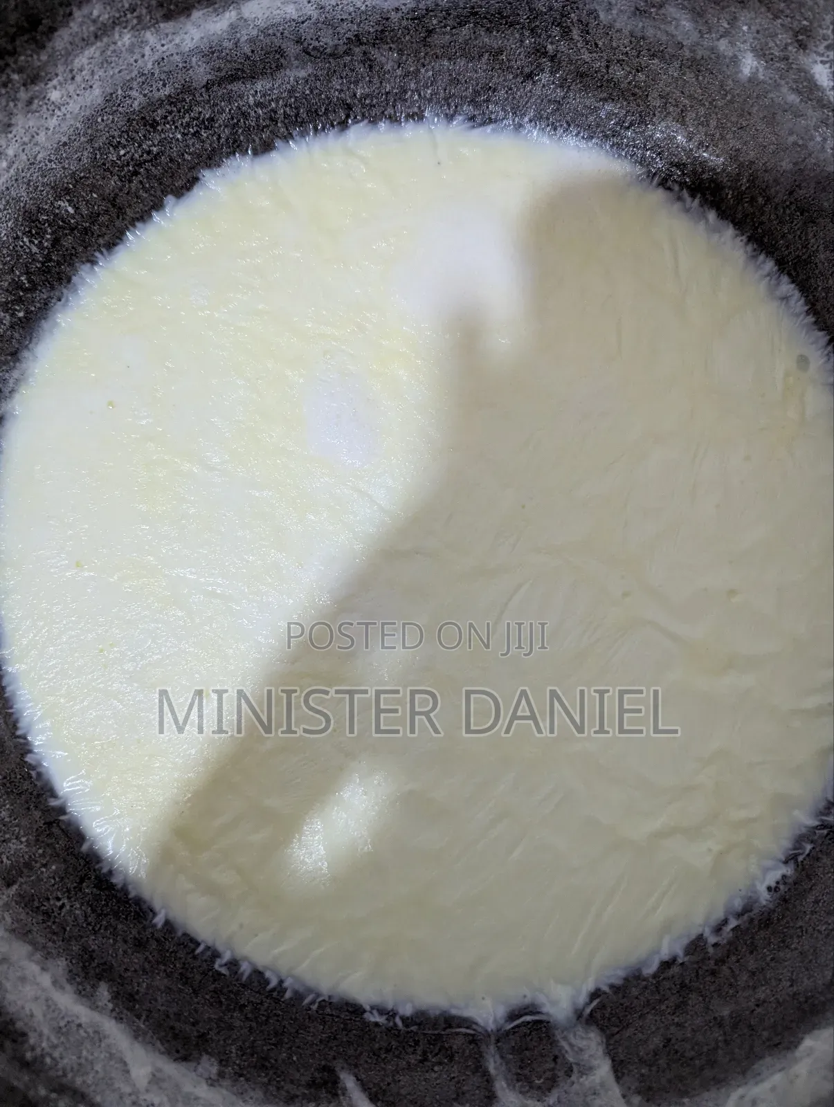 Organic Raw Cow Milk Available