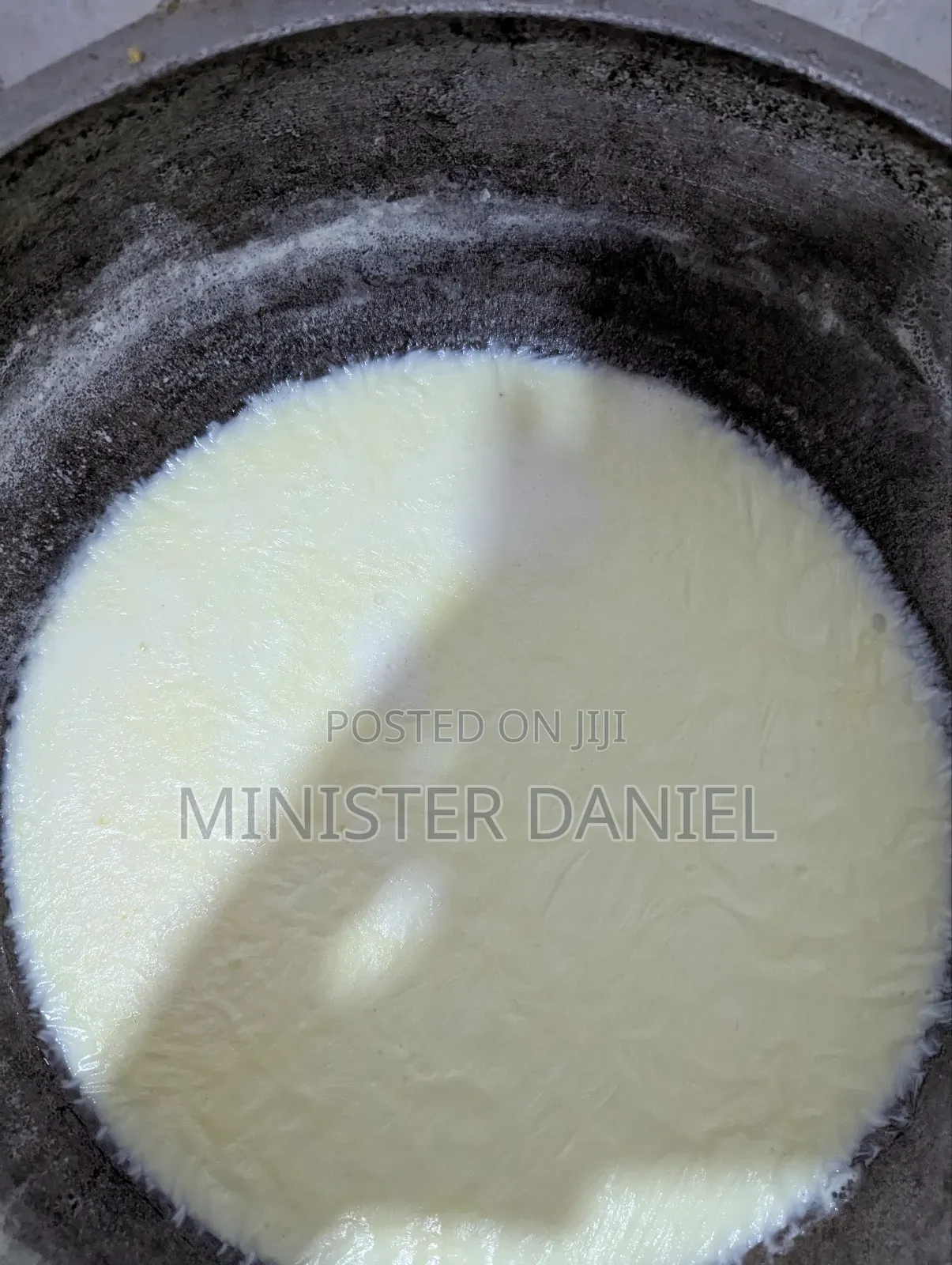 Organic Raw Cow Milk Available