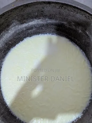 Organic Raw Cow Milk Available