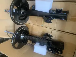Genuine Lastly Shocks With Hubs Available